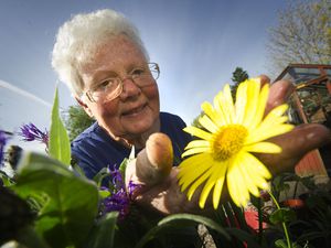 BORDER WITH STORY Barbara Molesworth from Whittington who is holding a plant sale for charity. PIC PETER SHAH.