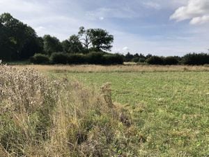 Arable land with margins set aside to support wildlife