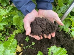 The Bradford Estates team will be reducing the use of synthetic products  to preserve the soil  