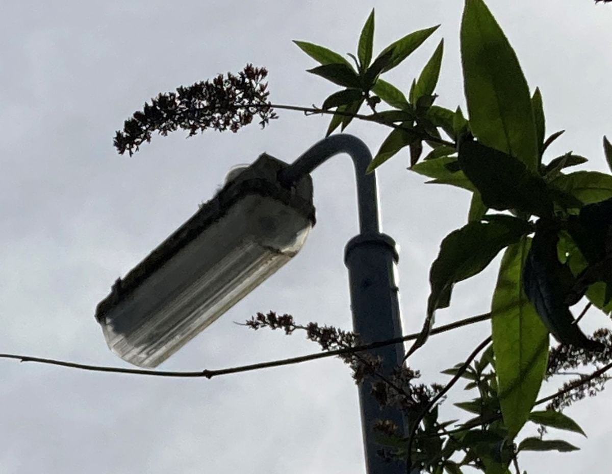 Campaign to switch street lights back so that people are safer at night