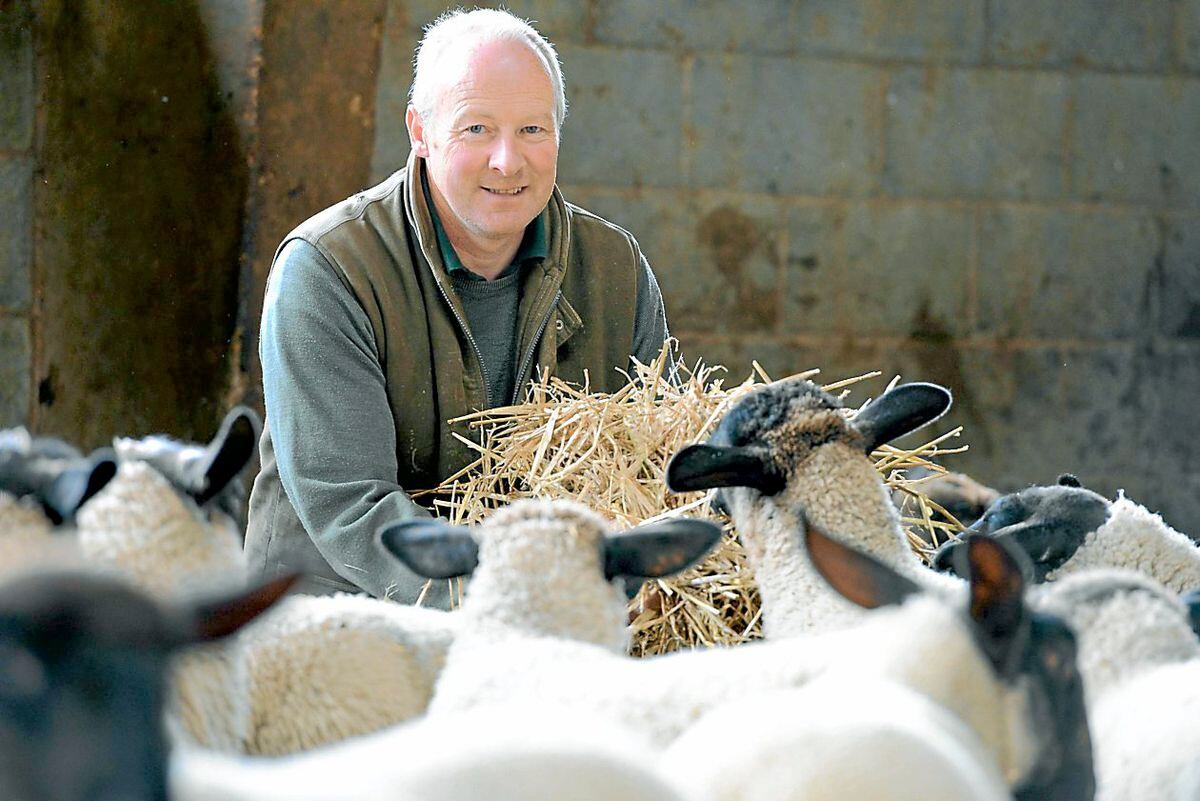 Show chairman Malcolm Roberts at work at Buckley Farm. PHOTO: PETER FLEMMICH. 