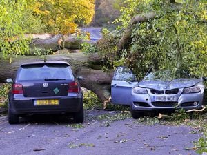 A fallen tree lands on two cars in Leighton