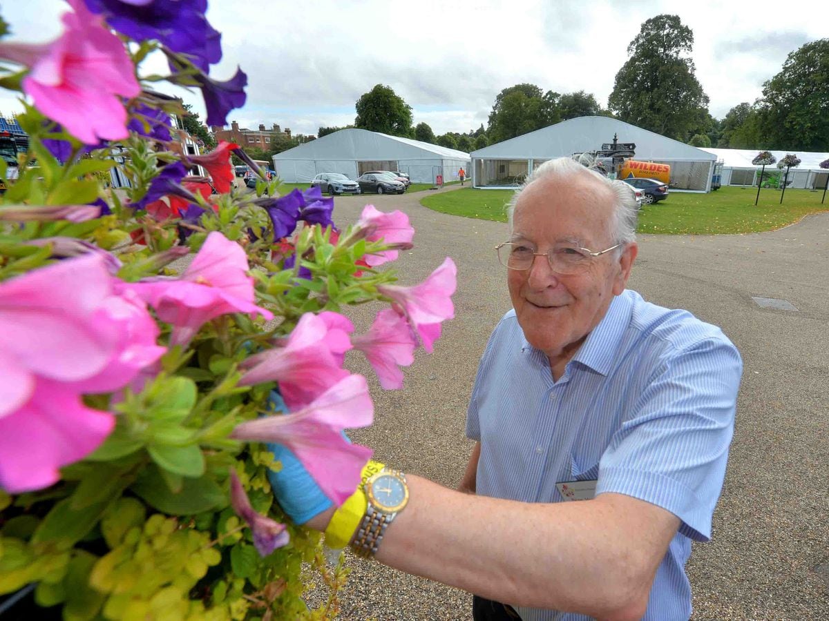 Committee member Brian Harper tending to a display in the Quarry as tents go up for the Shrewsbury Flower Show 