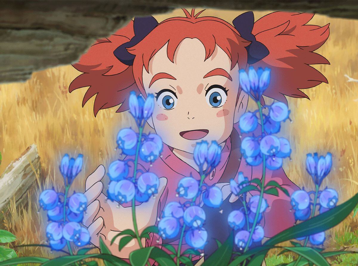 Mary and the Witch's Flower: Blockbuster cartoon set in Shropshire to be released this spring