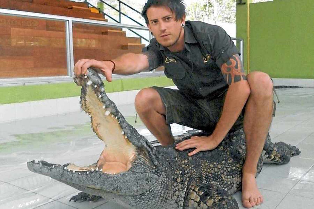 No job? No prospects? Then buy a crocodile
