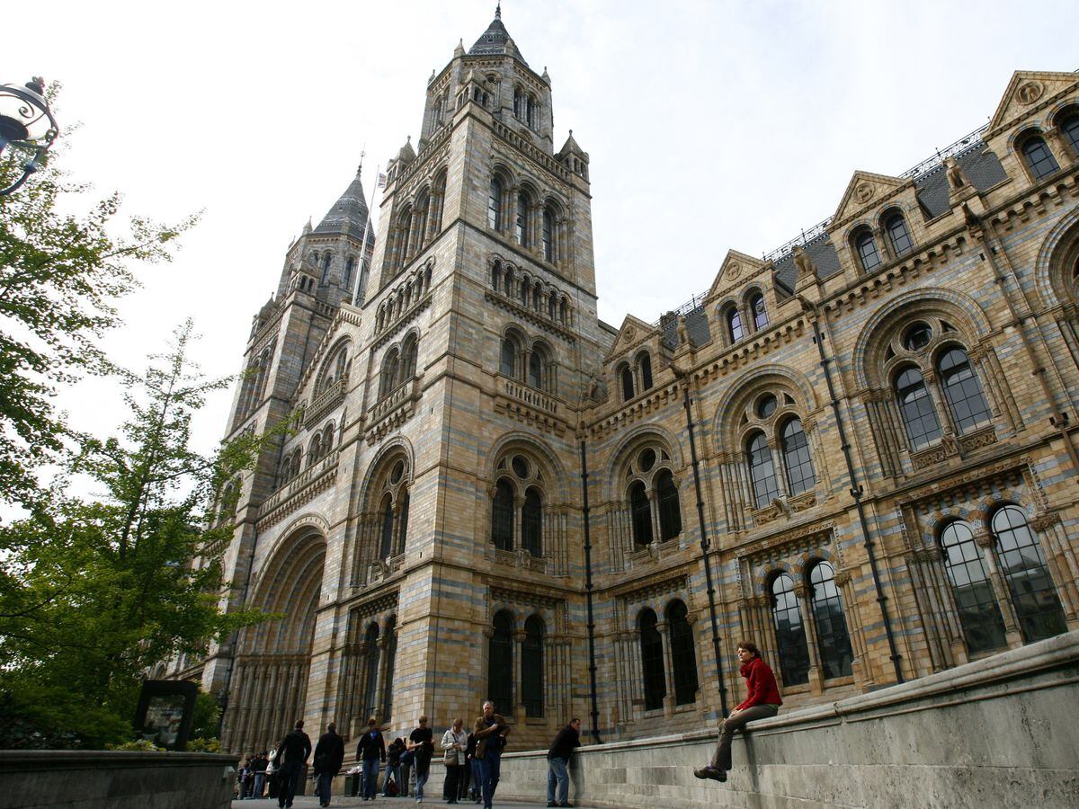 The Natural History Museum in South Kensington
