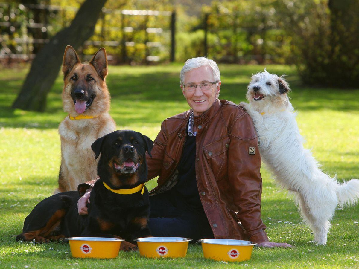 Paul O’Grady with dogs