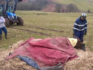Pictures: Fire crews rescue horse stuck in Stiperstones marshland
