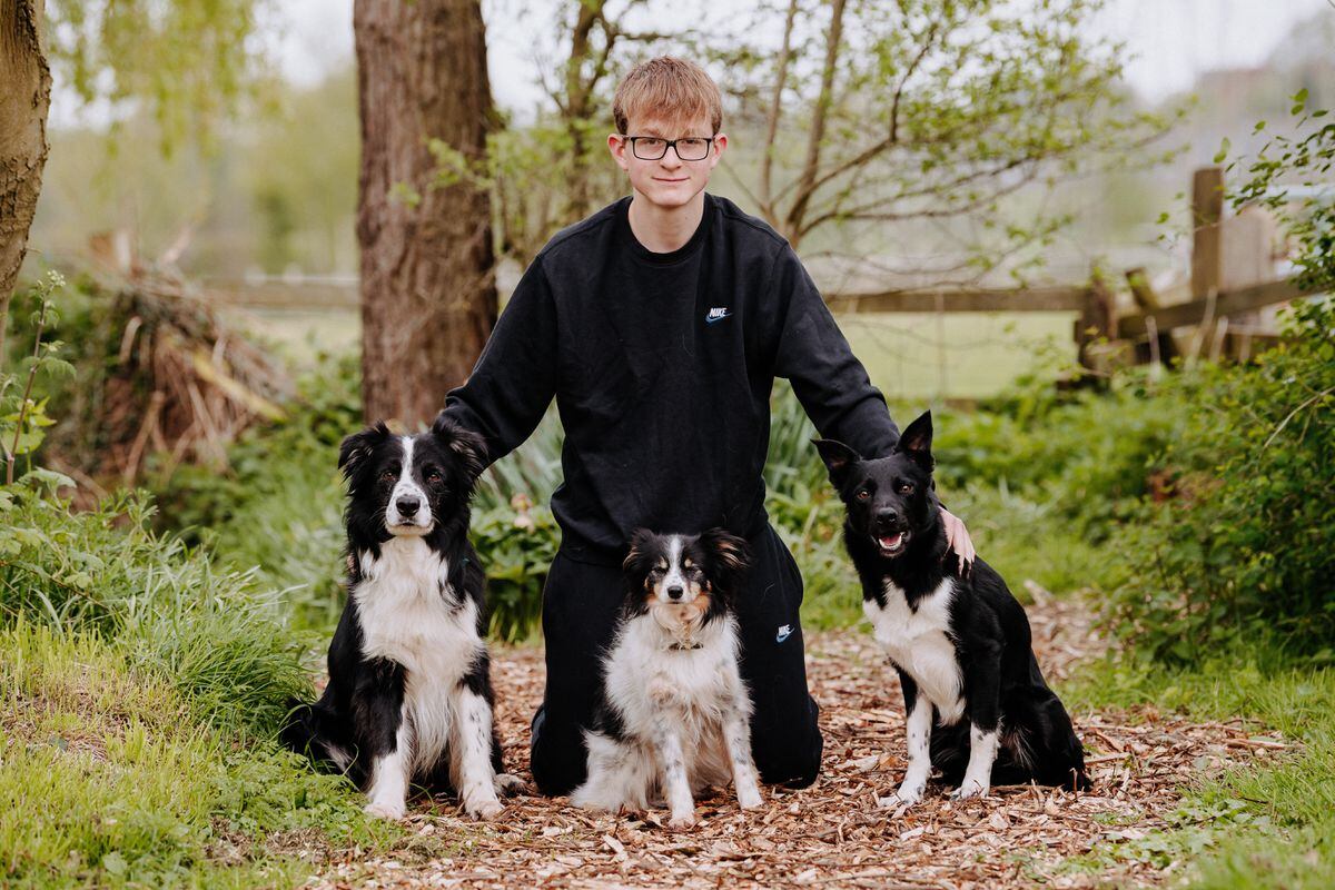 Max Glover and his three dogs, Boost (left), Woody (middle) and Beat (right).