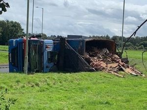 The lorry tipped and shed its load on the roadside