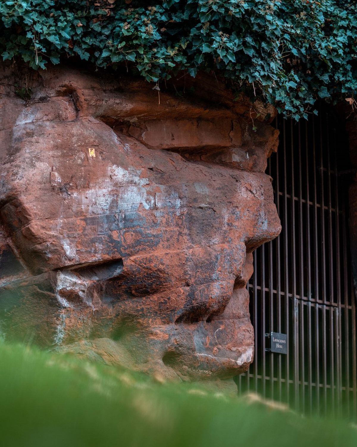 The mysterious face spotted at the entrance to Lavington's Hole. Photo: Joel Rouse