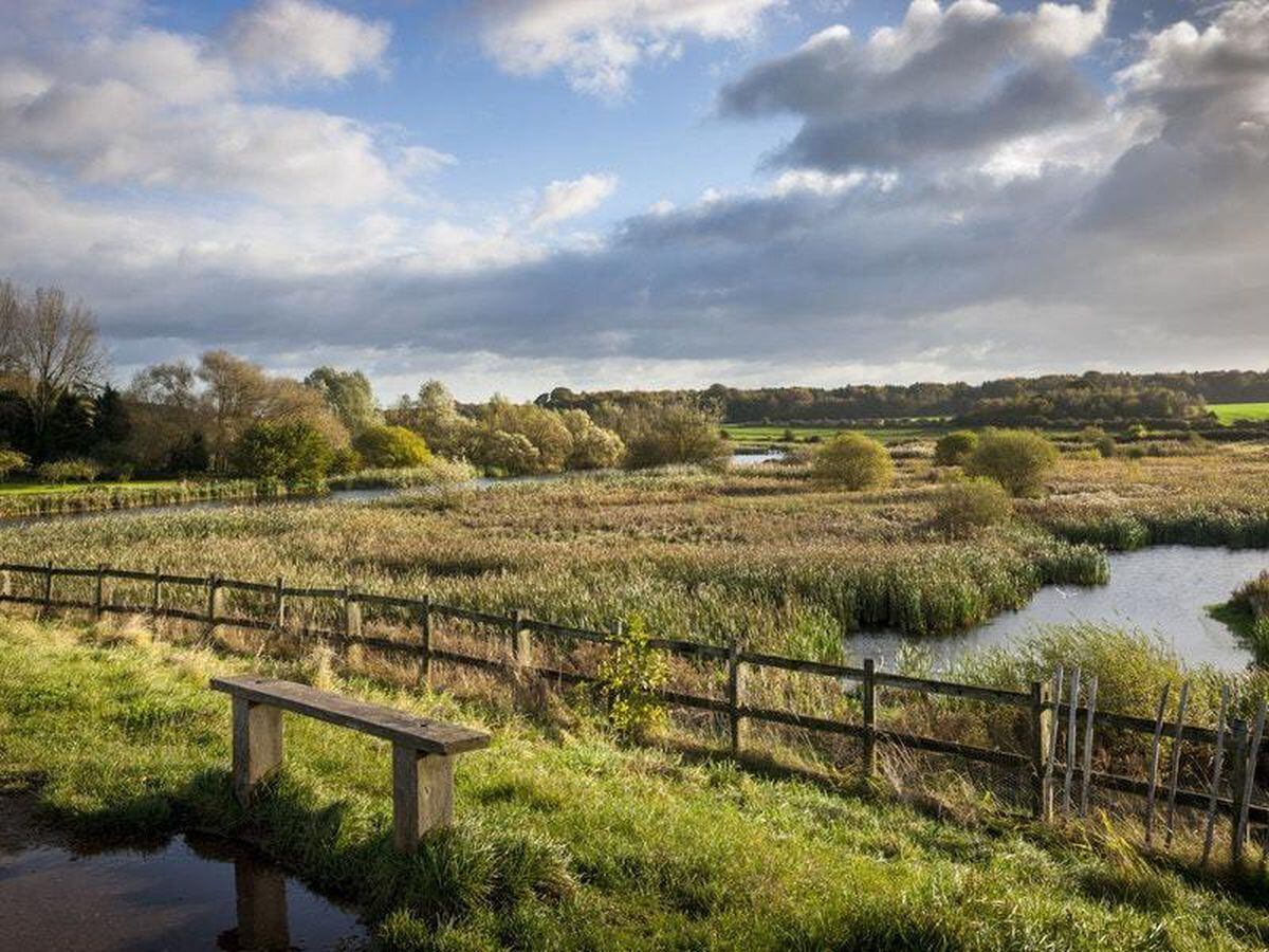 The National Trust has dropped its legal opposition to seismic surveys at Clumber Park, Nottinghamshire (National Trust Images/Andrew But/PA)