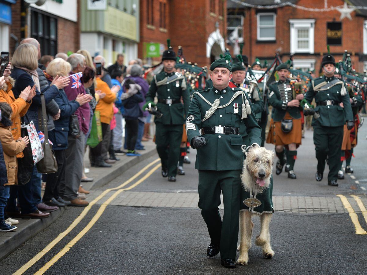 1st Battalion The Royal Irish Regiment mascot wolfhound Brian Boru X at the parade