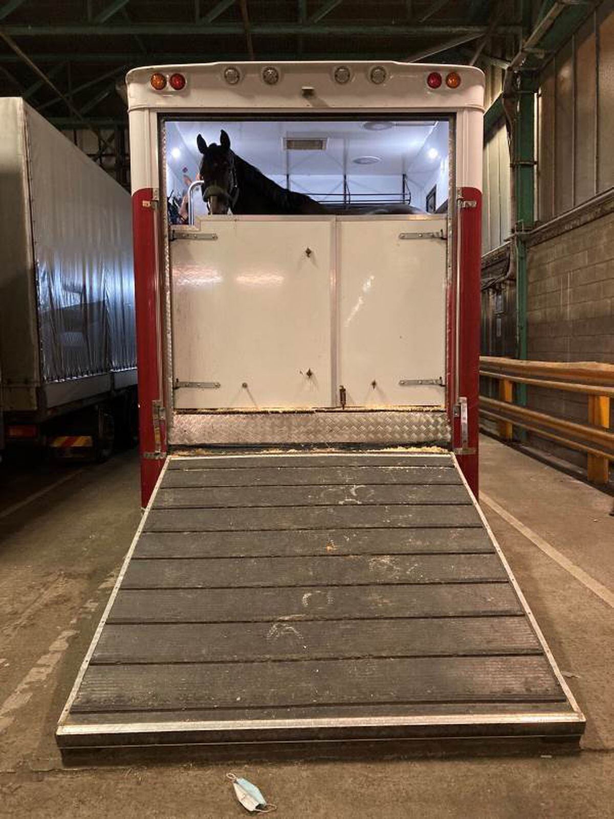 The horse transporter the drugs were found in. Photo: National Crime Agency