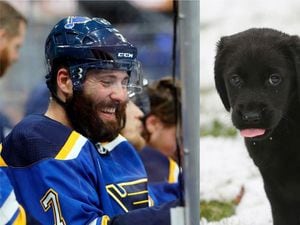 NHL offers awards for best ice hockey dogs of the year