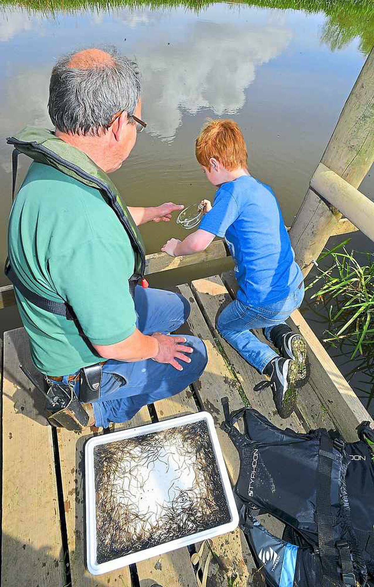 Children help Bob Thurston release 1000 eels  in to the river Severn at Attingham Park.
