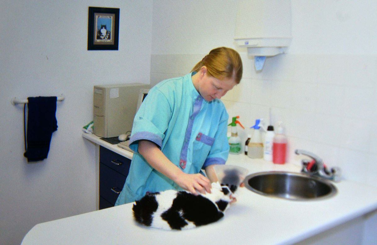 Jessica working as a vet before she retired two years ago