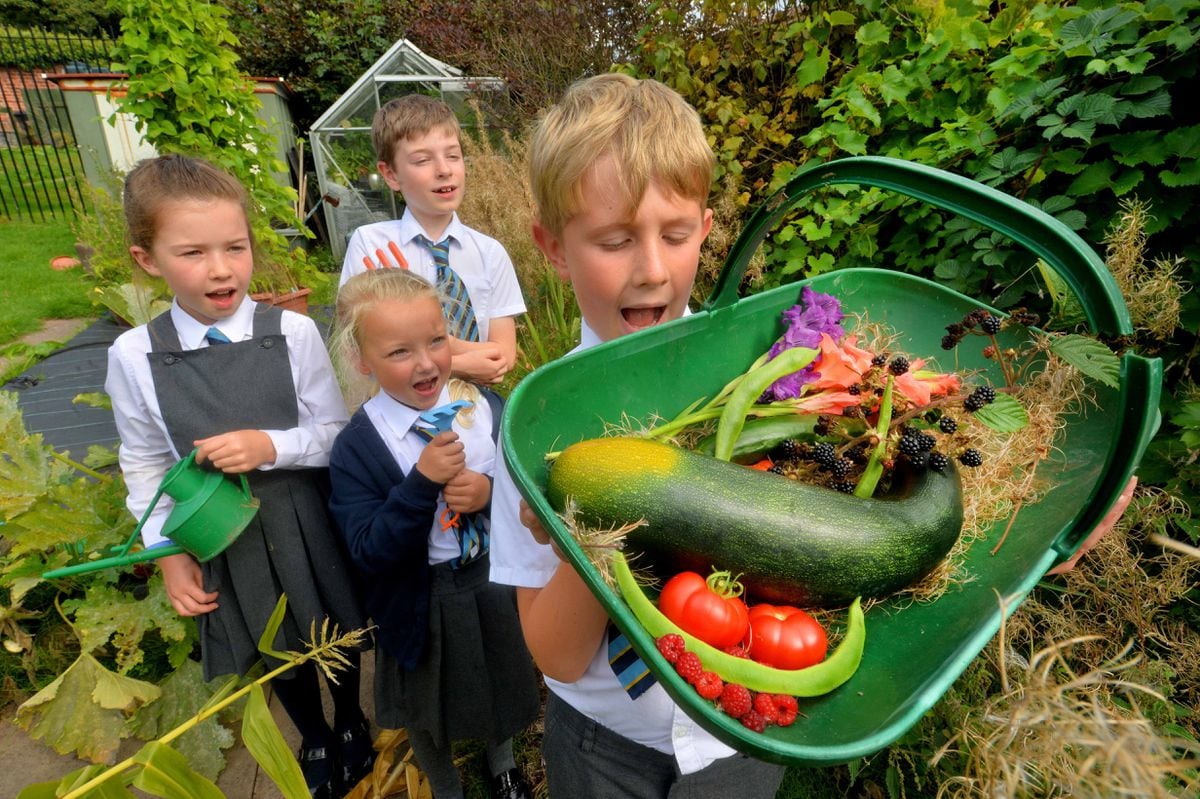 Tom Braithwaite, 10; Pippa-Jo Murffit, six; Penelope Nixon, eight; and Jack Vodrey, 10, with their fruit and veg