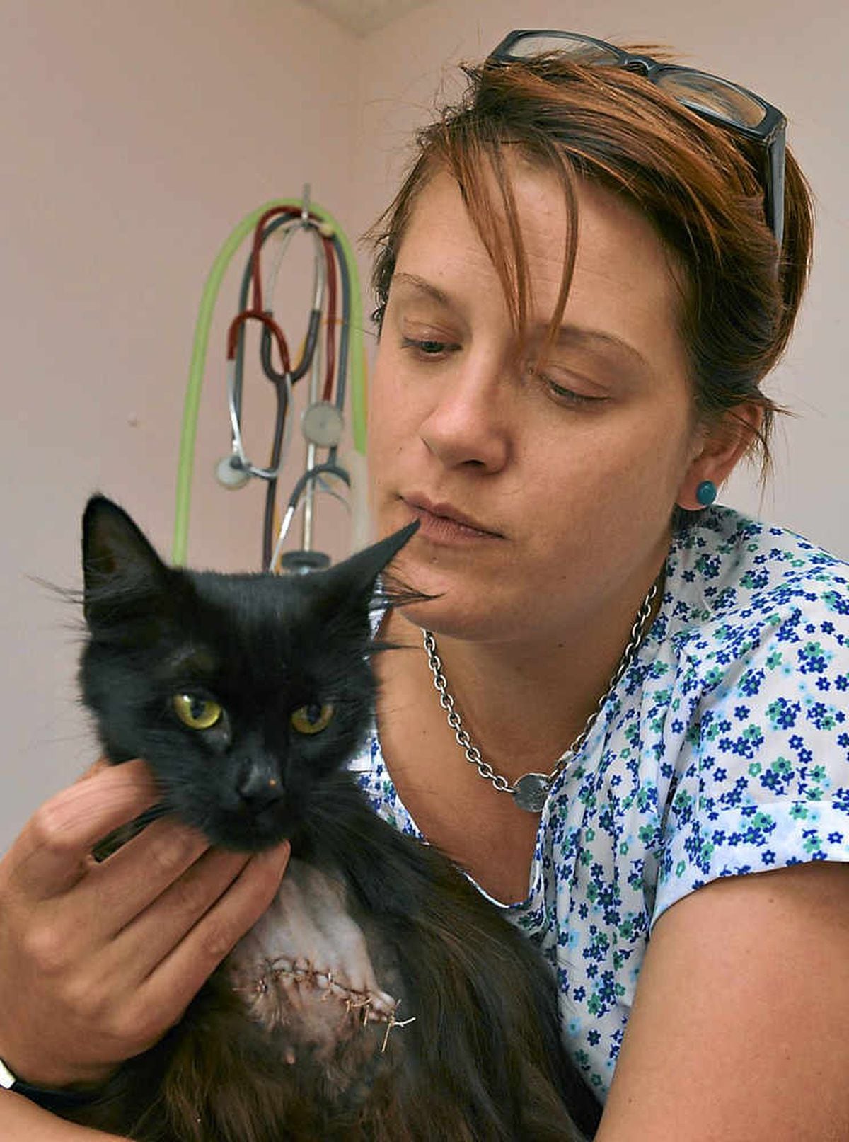 Cat cheats death after being snared in trap Shropshire Star