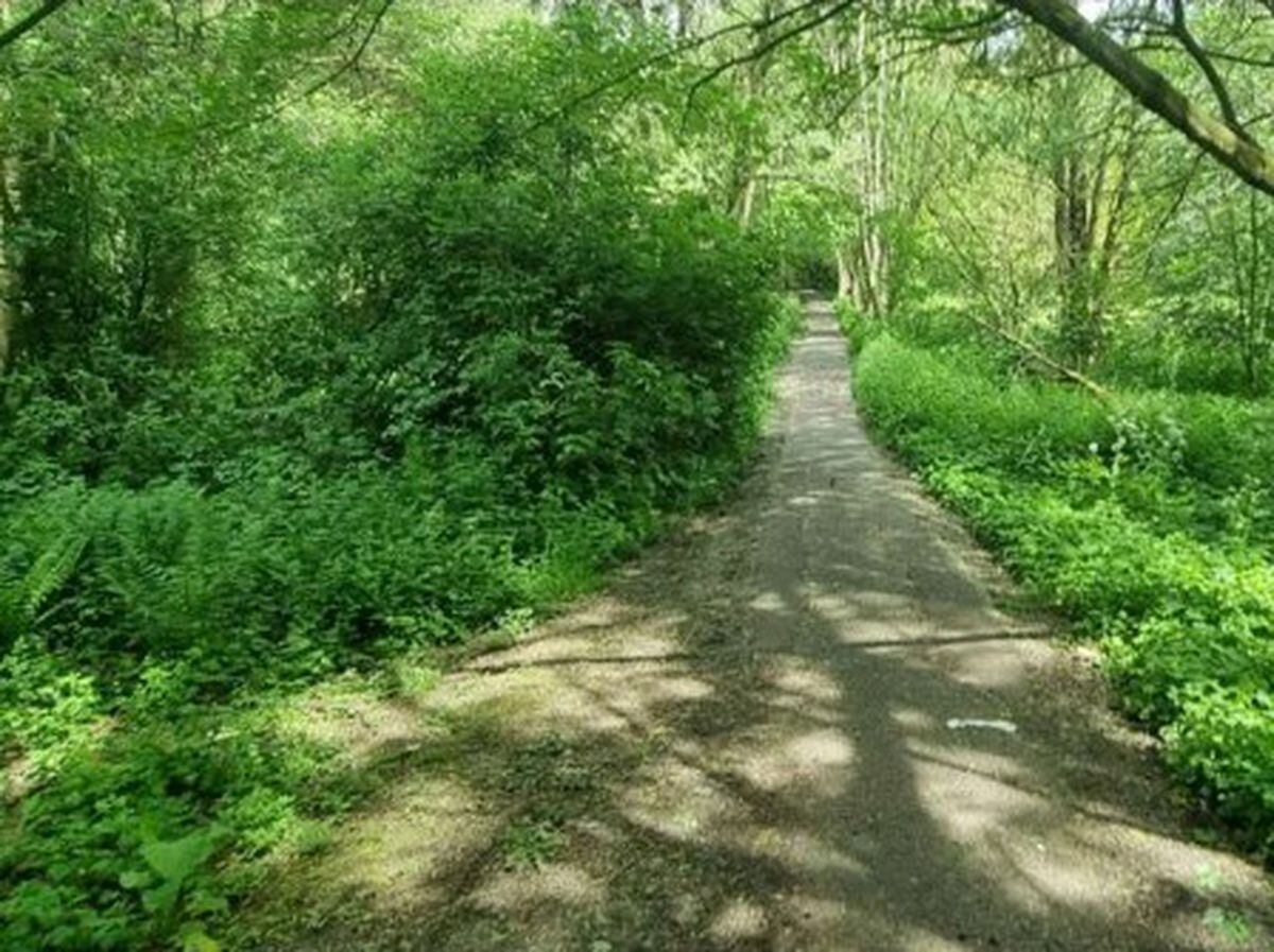 The footpath off Beehive Lane