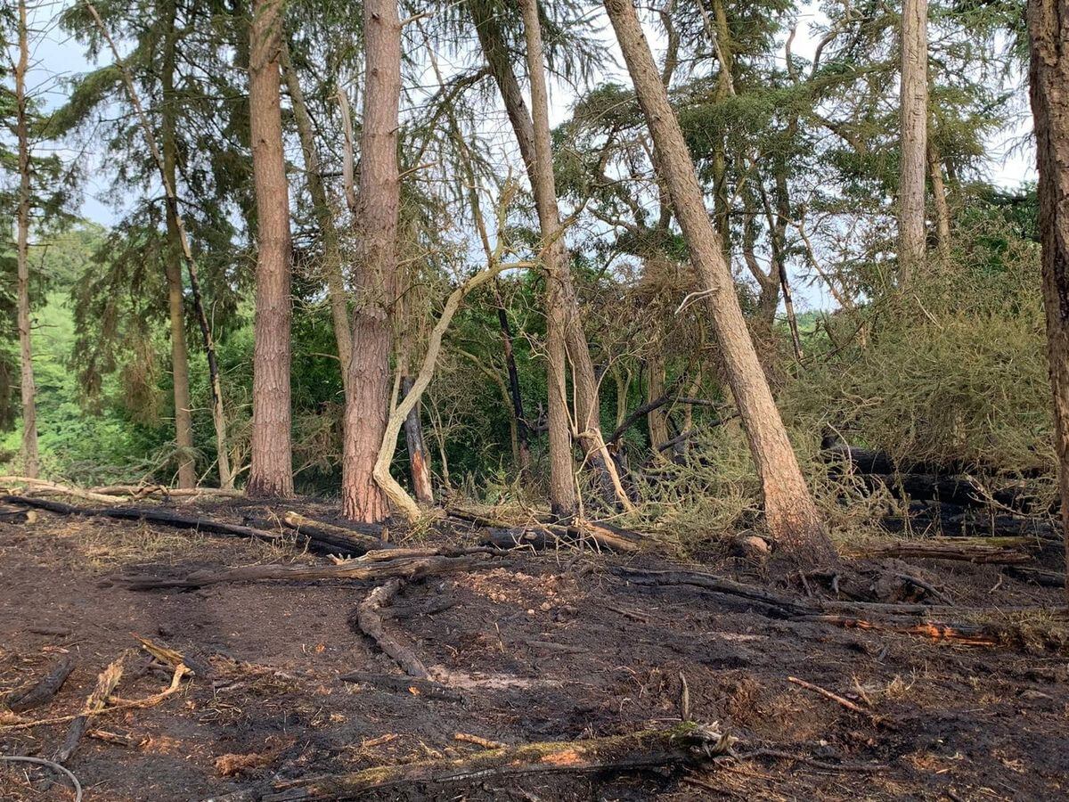 Charred remains of the woodland area. Photo: Market Drayton Fire Station