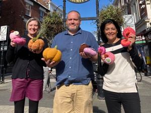 Pictured from left, AdrienneTaylor of The Daberhashery, who has made some of the pumpkins, Damian Breeze, manager of The Orbit and Paola Armstrong of Wellington Town Council