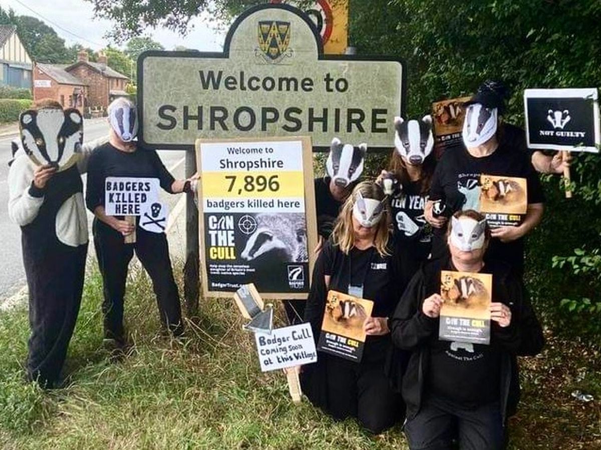 Protesters against badger culling gather at a 'Welcome to Shropshire' sign