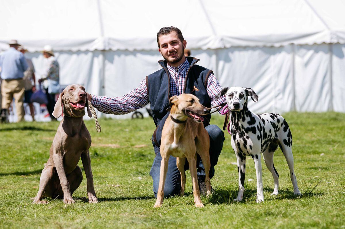 Nathan-James Wilsher, from Leicester, with Storm, Jet and Bonnie-Blue
