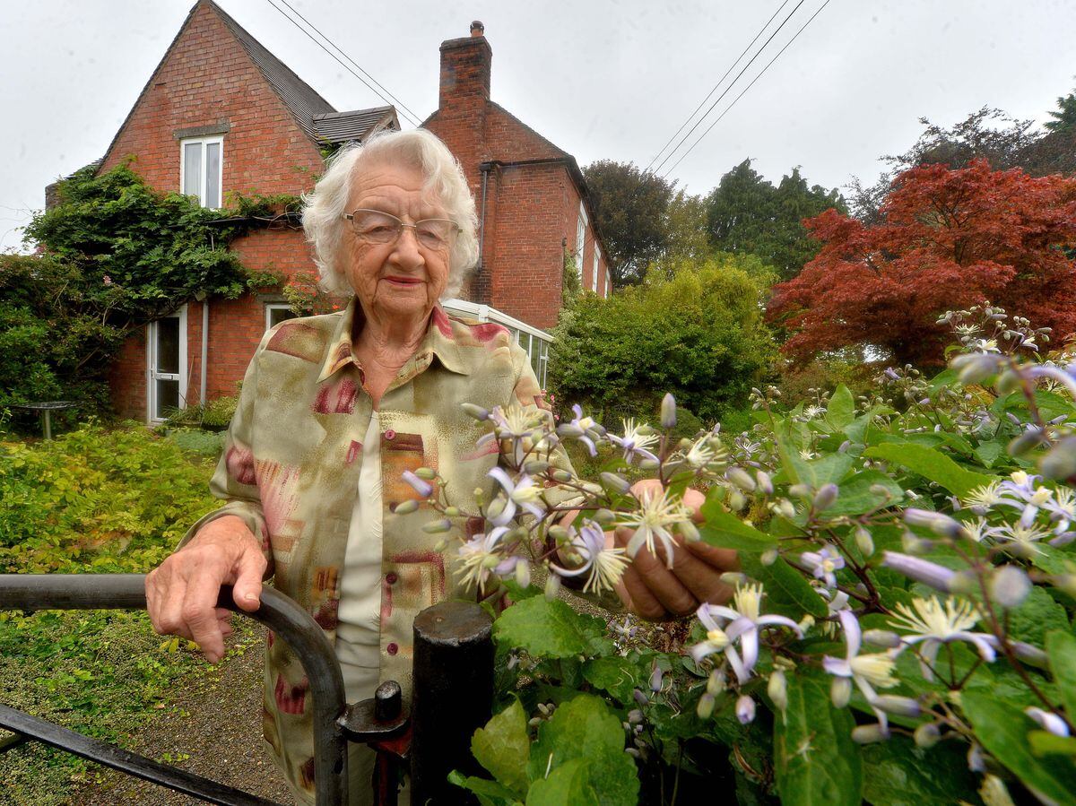 Owner Lynda Clarke looking at a rare clematits at Ruthall Manor, in Ditton Priors, which will be open this weekend for charity