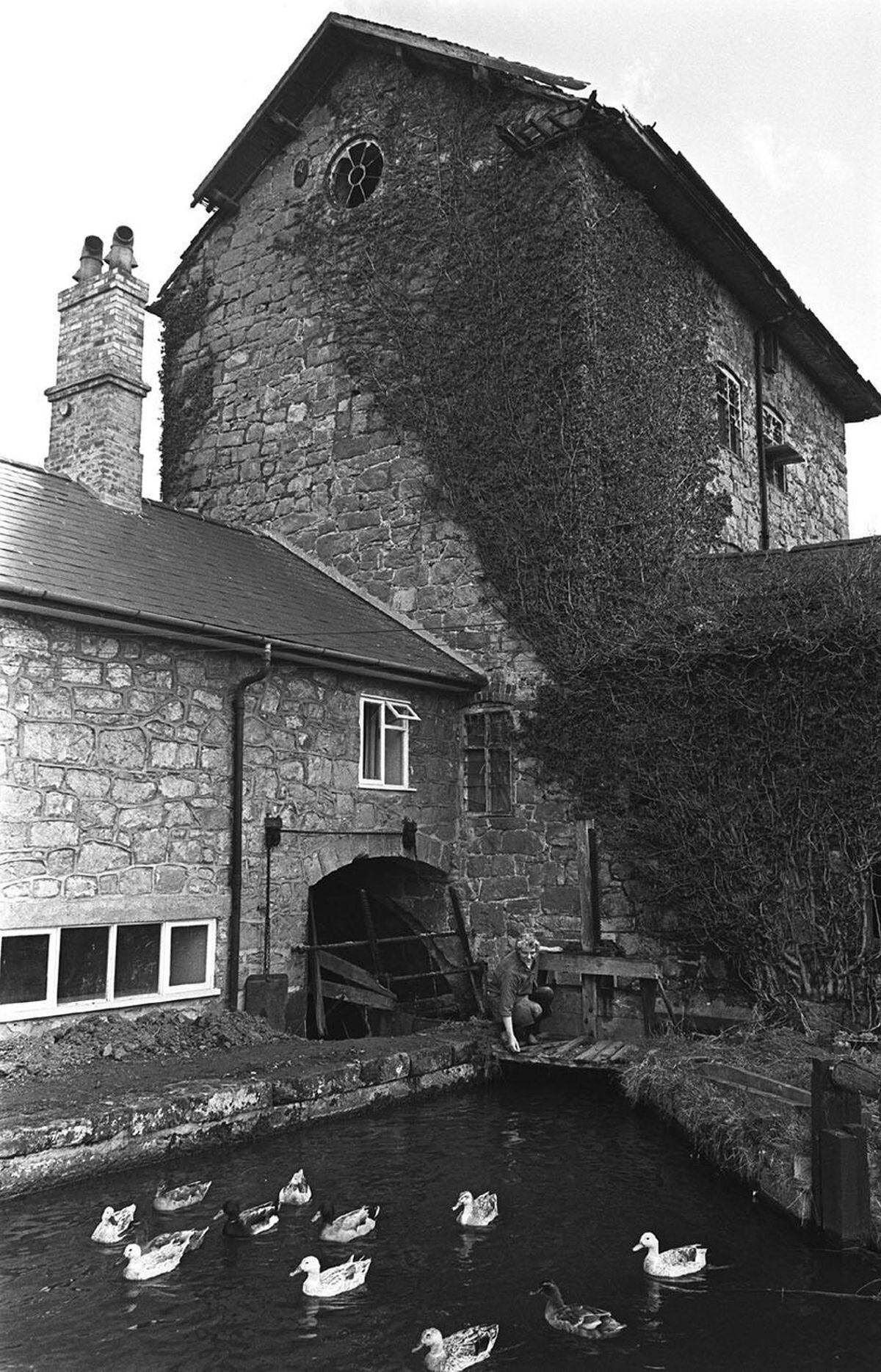 May 1969: A 500 year old mill that flourished during the Welsh wool trade was playing a new role mixing dough