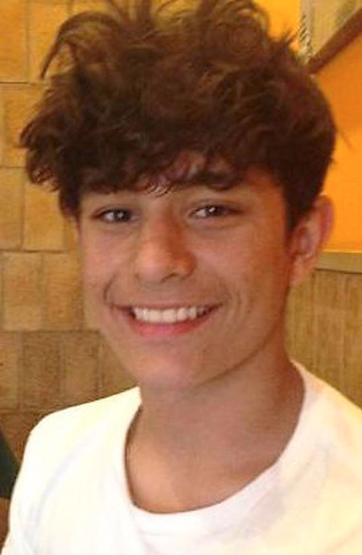 Felix Alexander, 17, killed himself after cyber-bullying