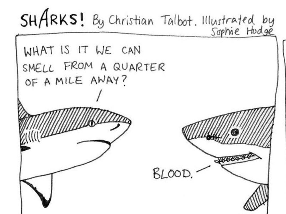 This new comic brilliantly imagines sassy shark conversations ...