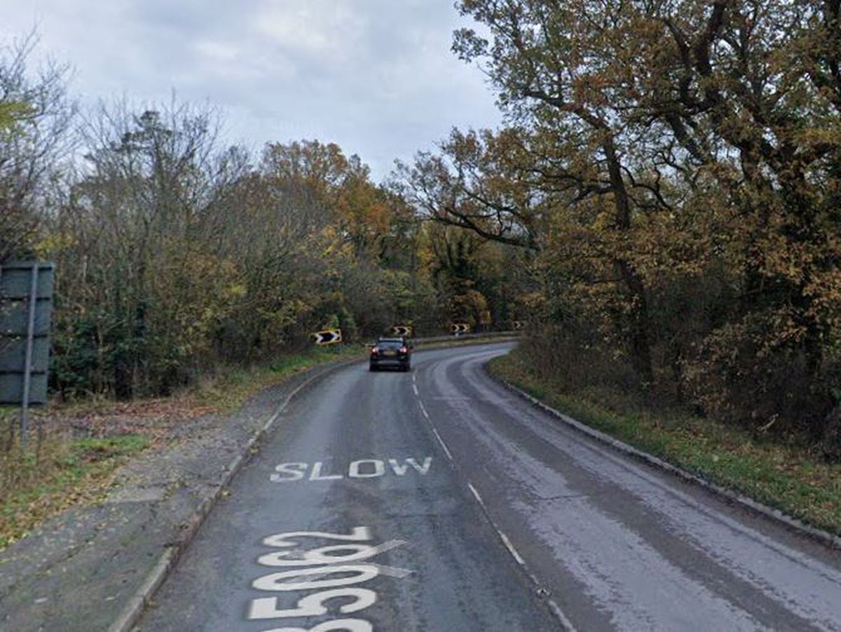 Road closed by fallen tree. Photo: Google Maps