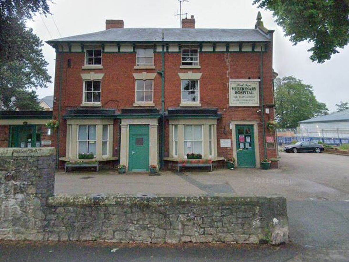 Park Issa vets in Oswestry. Photo: Google