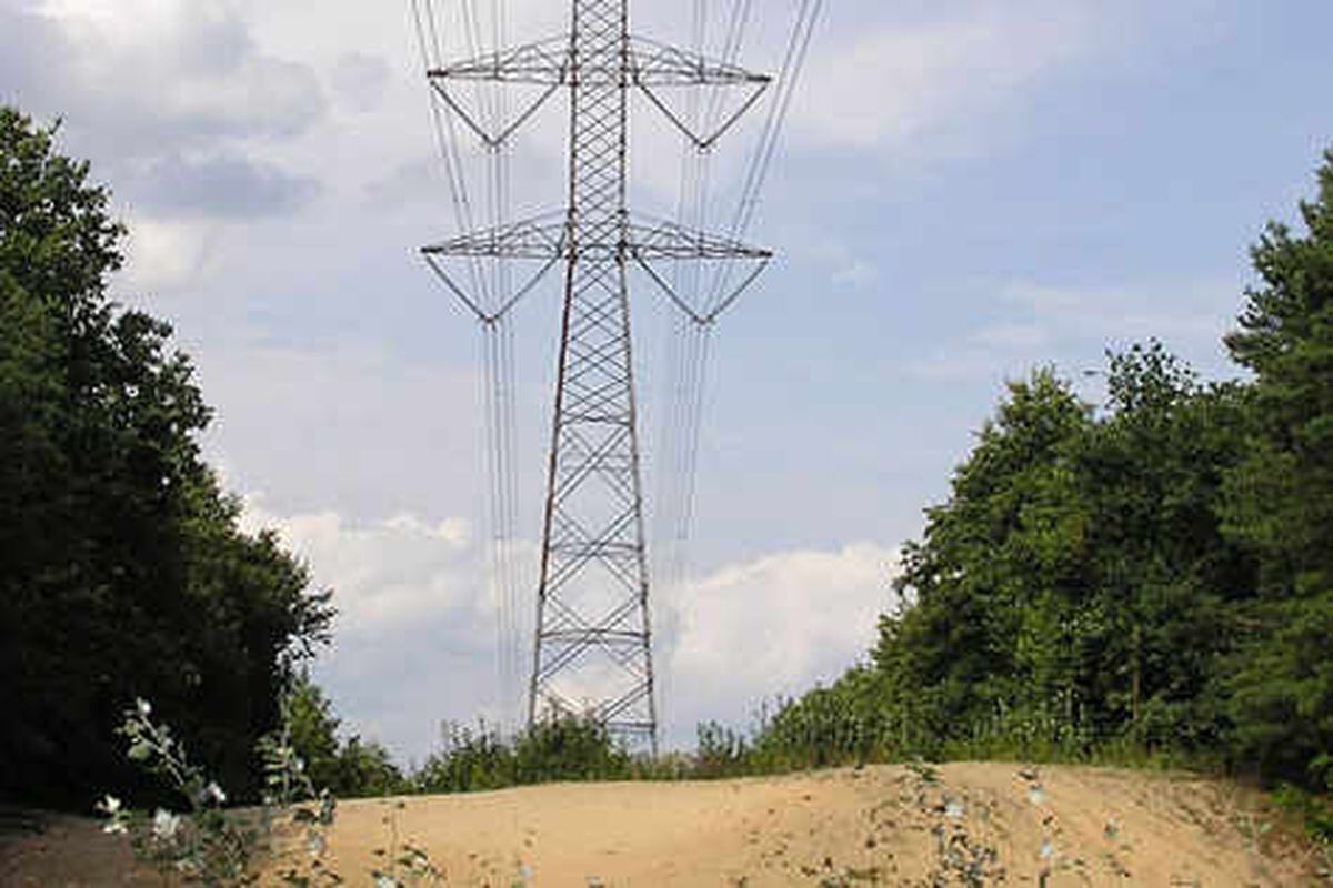 Warning over electricity pylons' impact on Shropshire countryside