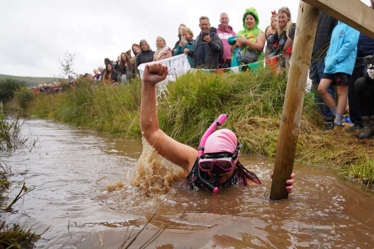 Competitors take part in the Rude Health World Bog Snorkelling Championships at Waen Rhydd peat bog in Llanwrtyd Wells, Wales. Picture date: Sunday August 27, 2023. PA Photo. Bog snorkelling is a sporting event where competitors aim to complete two consecutive lengths of a 60 yards water-filled trench cut through a peat bog in the shortest time possible, wearing traditional snorkel, diving mask and flippers. Photo credit should read: Ben Birchall/PA Wire.