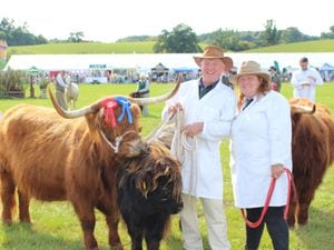 The Kington Show returns next weekend with a host of activities and displays on offer