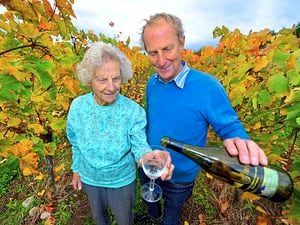 Pattingham grape-picker Ann still reaping harvest at 97