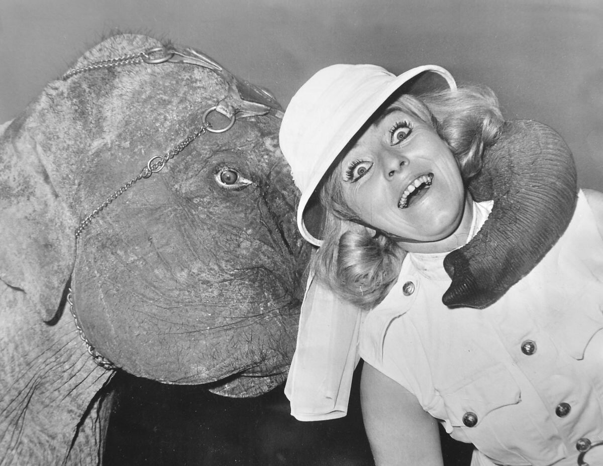 Mini the five year old elephant gives a cuddle to fellow circus artiste Brenda Haeni as Fossett's circus arrived in Shrewsbury in October 1971.