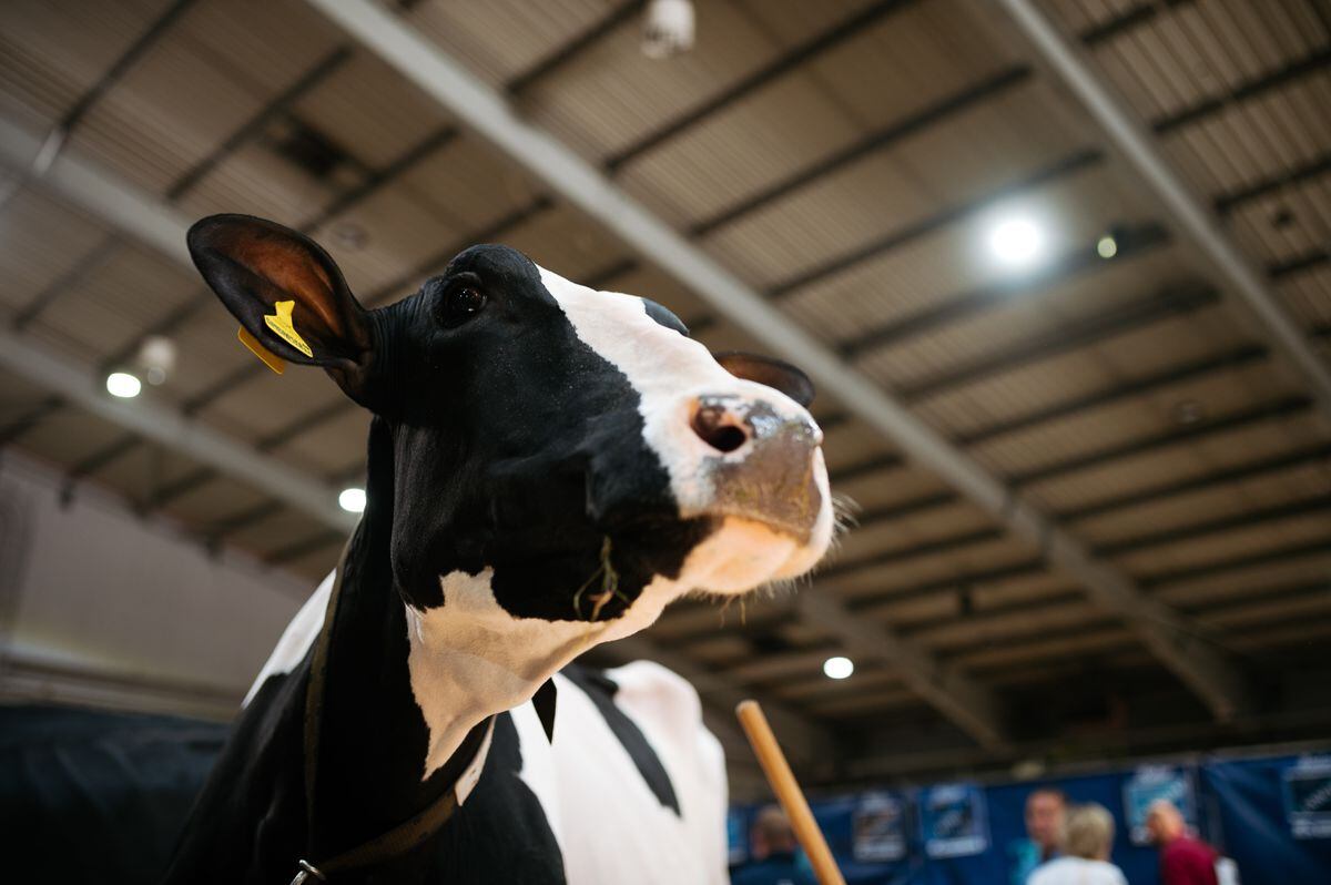 The UK Dairy Show 2023 at Telford International Centre 
