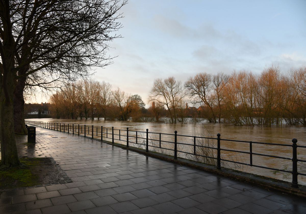 Shrewsbury flooding: The River Severn at Coton Hill as of 8am this morning. Pic: Russell Davies