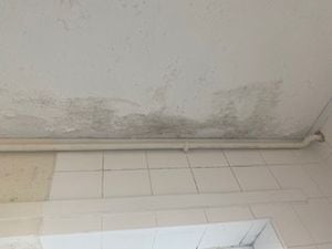 Mould in the property