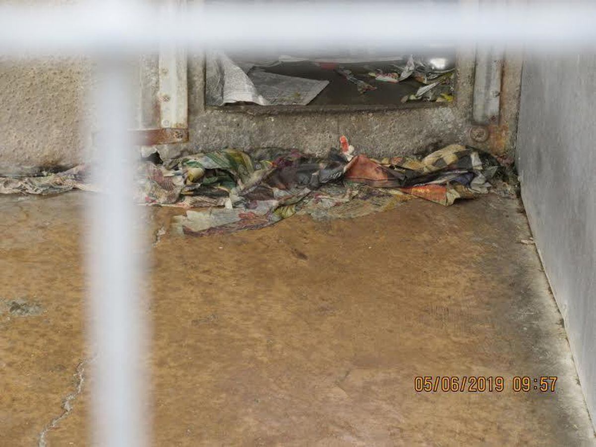 Dogs had to sleep in dirty conditions. Picture: South Staffs Council