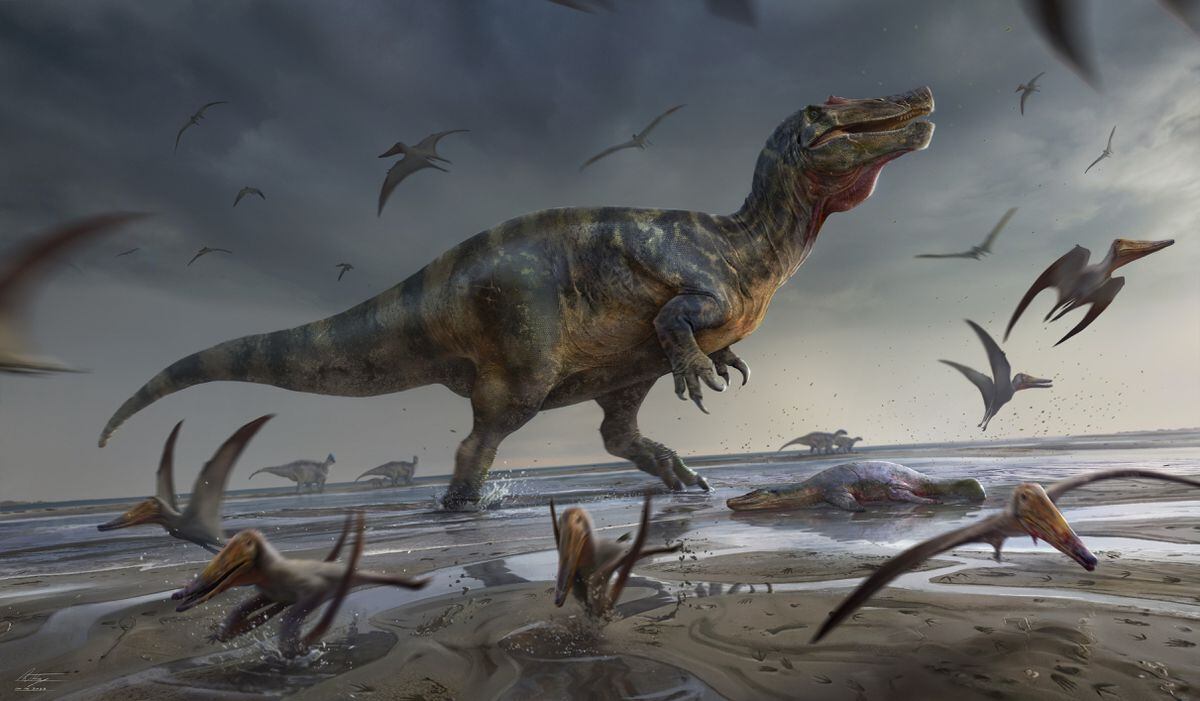 An artist's impression issued by University of Southampton of a White Rock spinosaurid. The remains of Europe's largest ever land-based hunter which measured more than 10 metres long and lived 125 million years ago have been found on the Isle of Wight. 