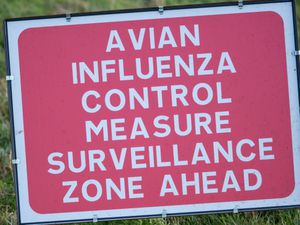 Bird flu warning sign