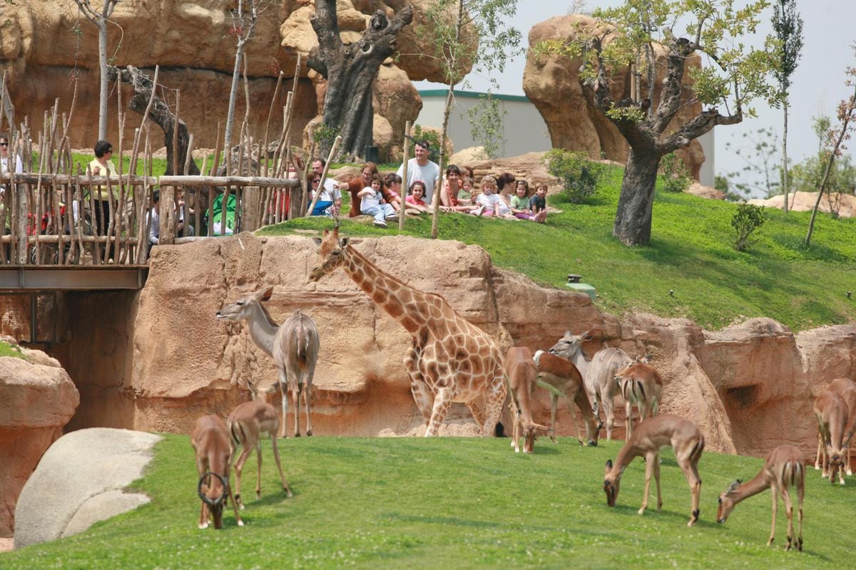 Испанский зоопарк