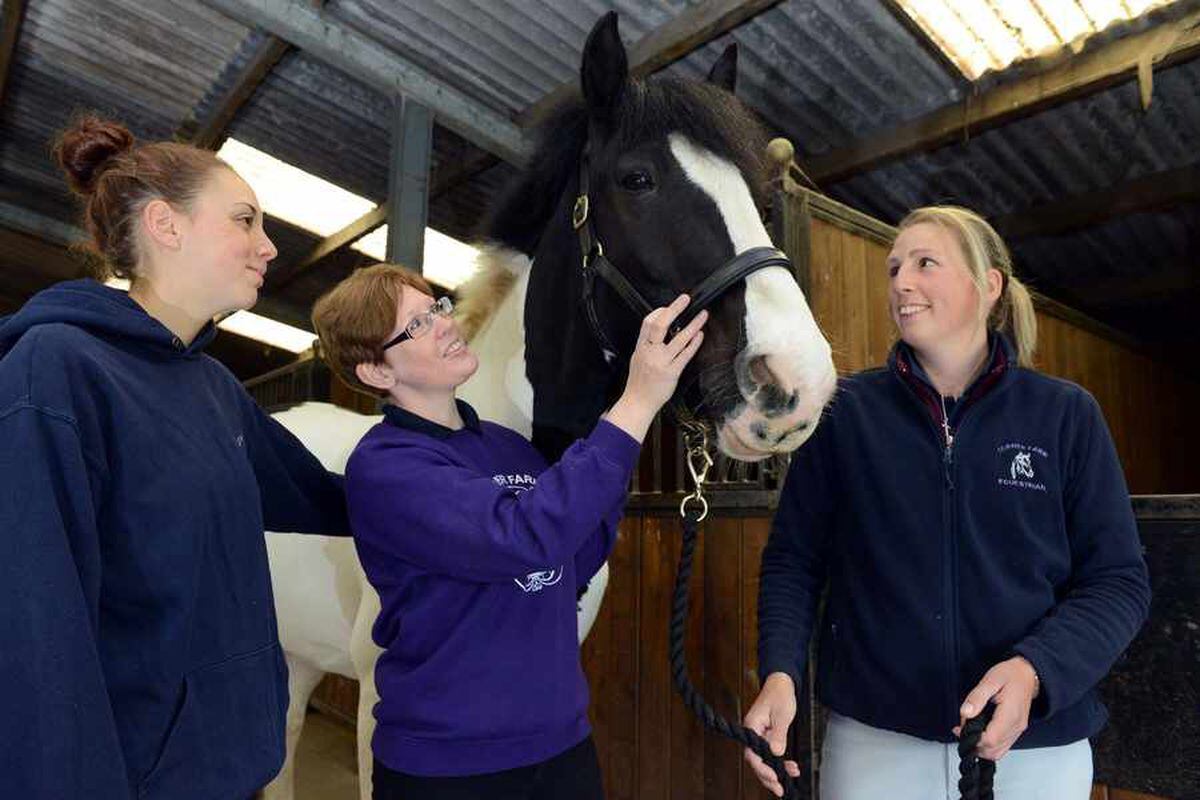 Shropshire equestrian centre opens stables for fun open day 