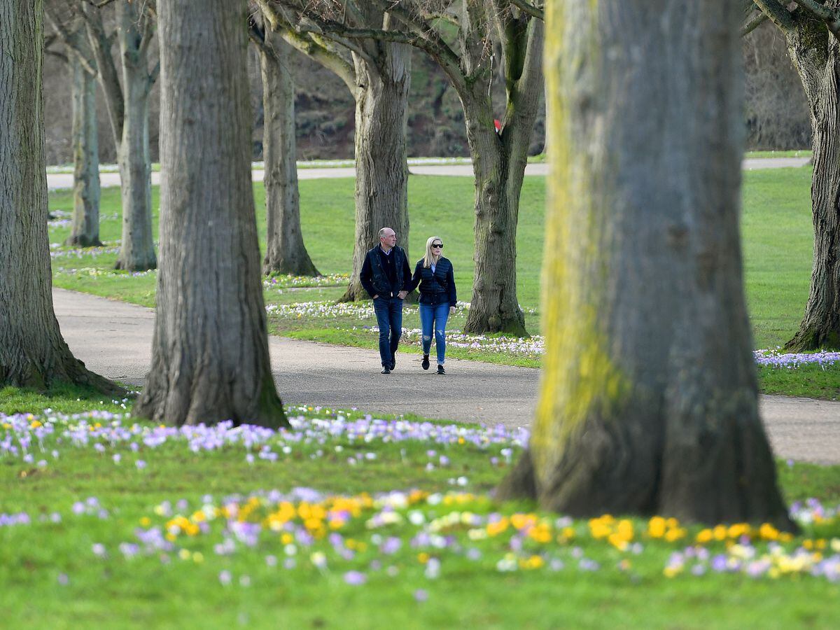 Spring in the air in the Quarry in Shrewsbury