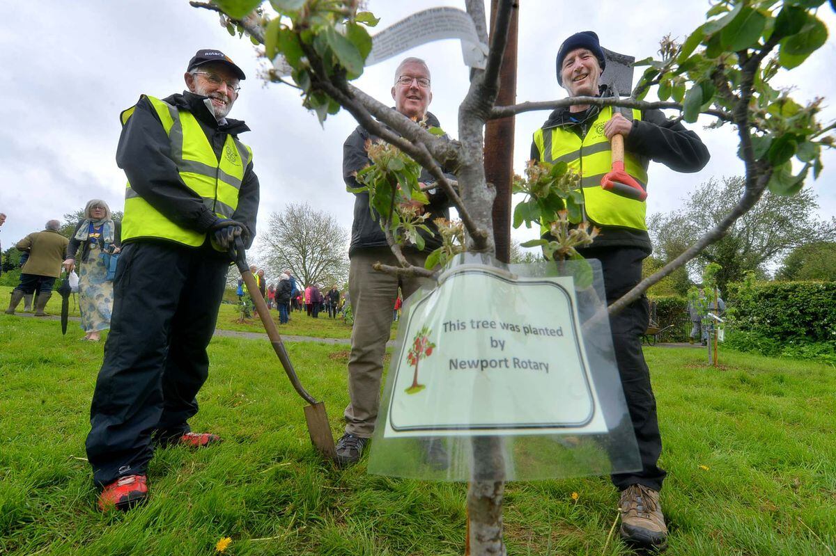 Councillor Peter Scott, centre, with John Moreton and Gareth Lambe and the Newport Rotary tree 