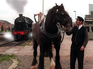 Ian Cryer with his heavy horse Truman at the Severn Valley Railway.